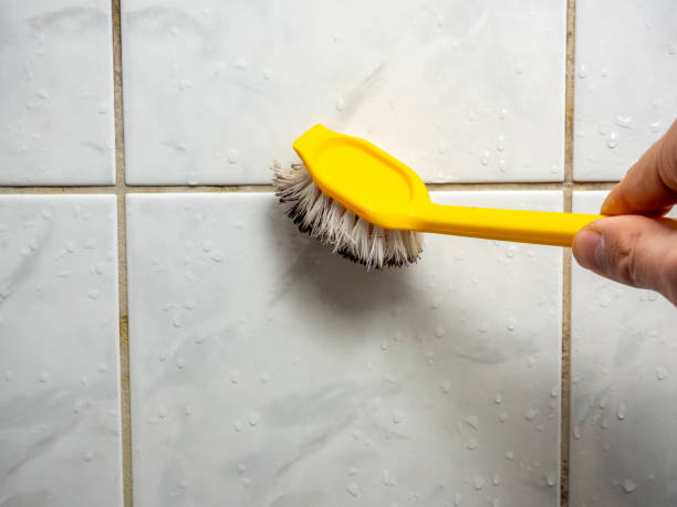 Best DIY Mold Remediation Support Services in Wickenburg, AZ