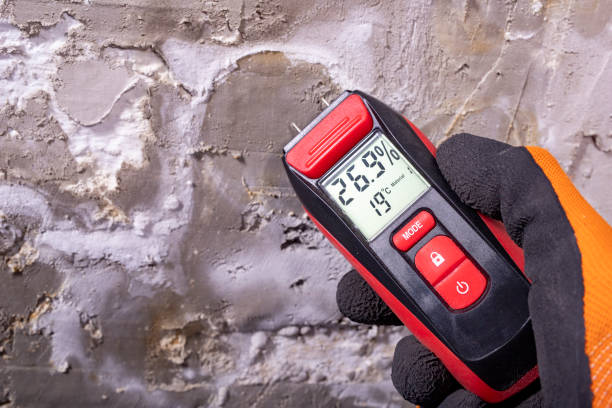 Best Localized Mold Remediation (e.g., coastal areas, humid climates) in Wickenburg, AZ